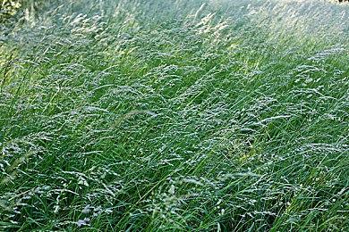 横板科幻平台解谜《换影循迹》确认2025年3月13日发售